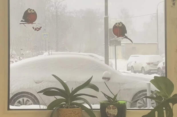 Эксперты раскрыли лайфхак для измерения влажности в квартире без гигрометра