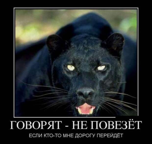 Подборка классных демотиваторов № 97