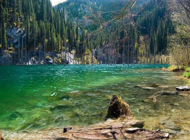 Затопленный лес озера Каинды, Кайнды, (Lake Kaindy), Казахстан