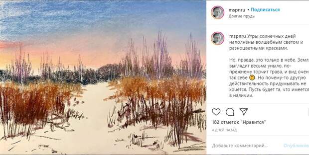 Серия художницы «300 видов Долгих прудов» пополнилась новыми пейзажами