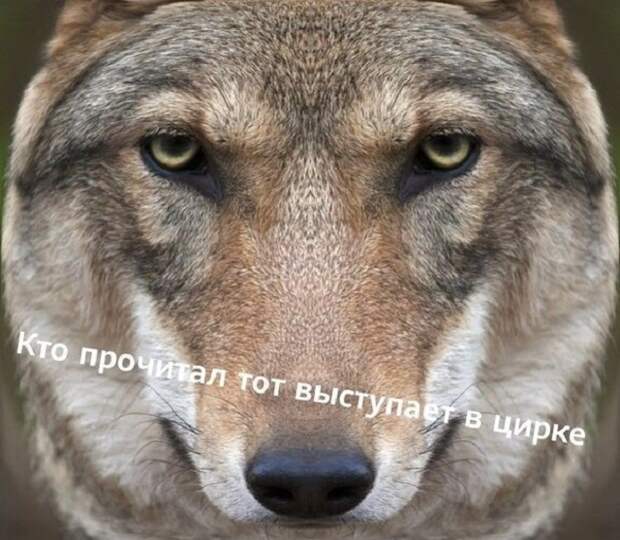 www.vsyako.net