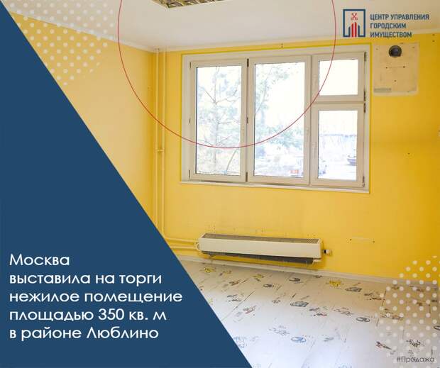 В Москве выставлено на продажу нежилое помещение в Люблино