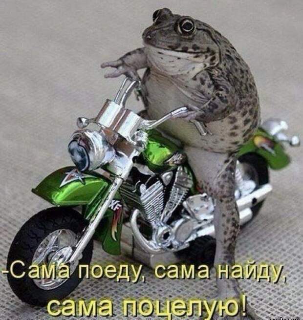 Алкопост Алкопост