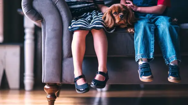 Минтруд предложил изменить условия выплат пособий по уходу за ребёнком