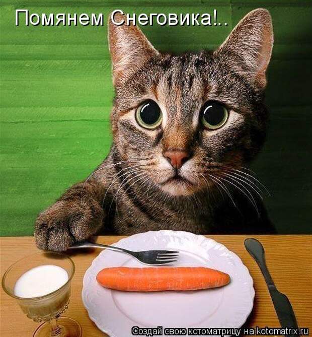 Мысли вслух :)