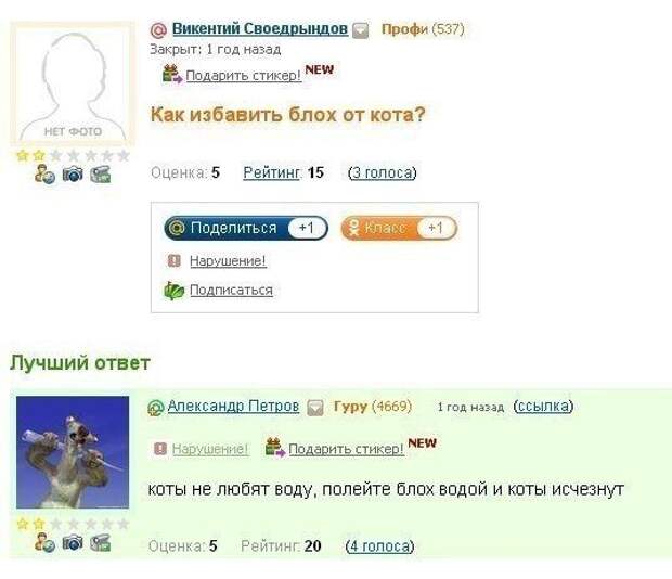 Прикольные картинки Прикольные картинки