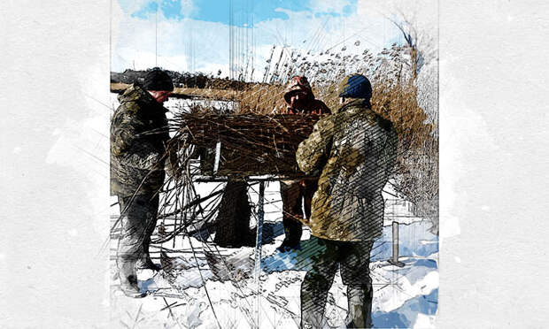 В Орловской области собираются разводить диких уток для охоты