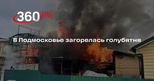 В Подмосковье загорелась голубятня