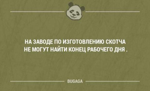 Прикольные фразы в картинках с надписями. Часть 80 (17 шт)