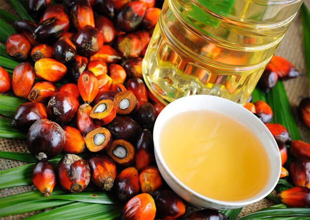 Что такое пальмовое масло
