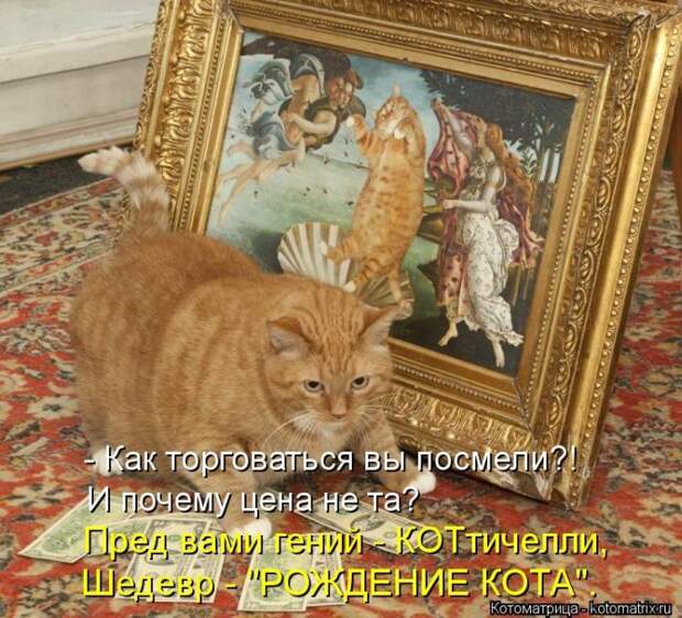 Лучшие котоматрицы недели