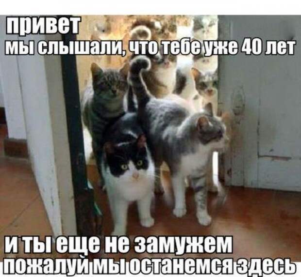Самые прикольные картинки