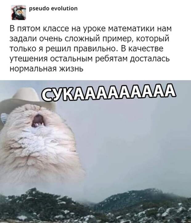 Подборка картинок (20 фото)