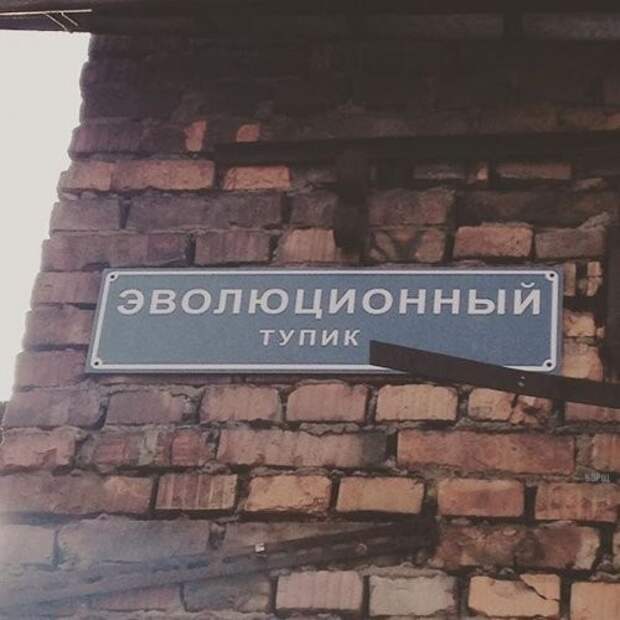 Настроения пост картинки, настроение, подборка