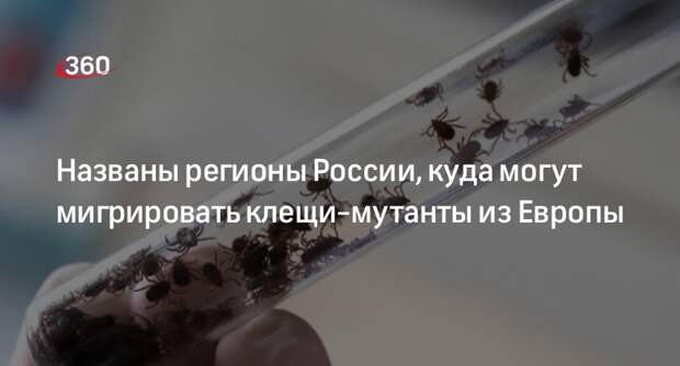 Вирусолог Вострухов предупредил о миграции клещей-мутантов из ЕС в Россию