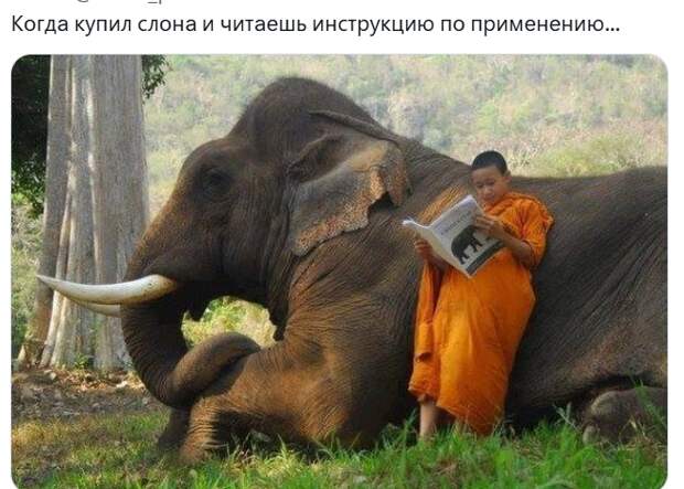 Нажимаю "Мой компьютер".. . не моет, зараза