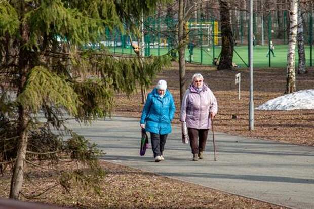 Пенсионный возраст повышать не будут. В Минтруде заявили об отсутствии планов пересматривать сроки выхода на пенсию