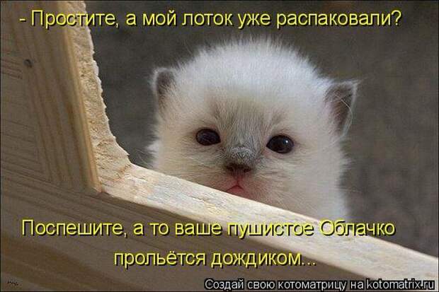 Мысли вслух :)