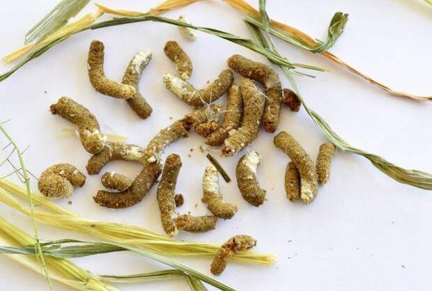 Куриный помет 