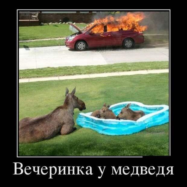 Демотиваторы (30 фото)