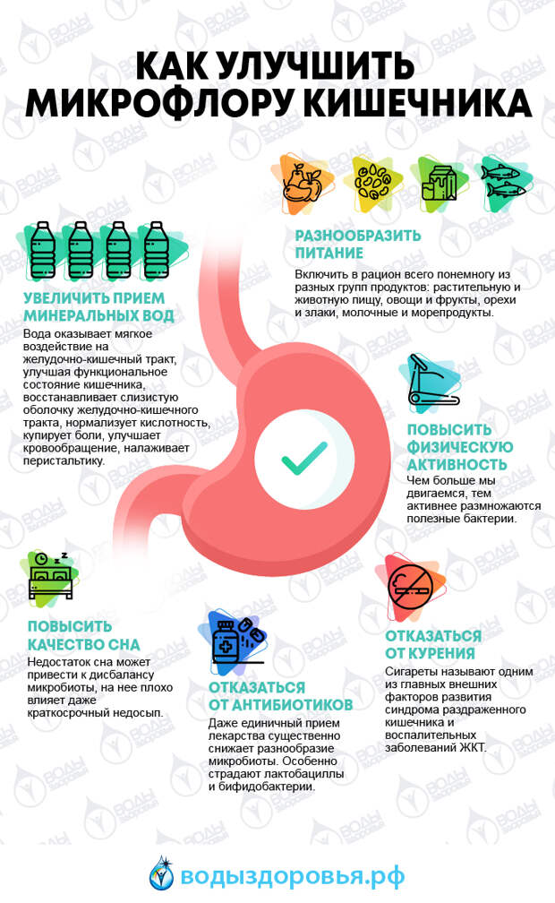 Что вредит микрофлоре кишечника и как ее улучшить