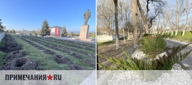 Бахчисарай преображается: в городе высаживают крымскую лаванду