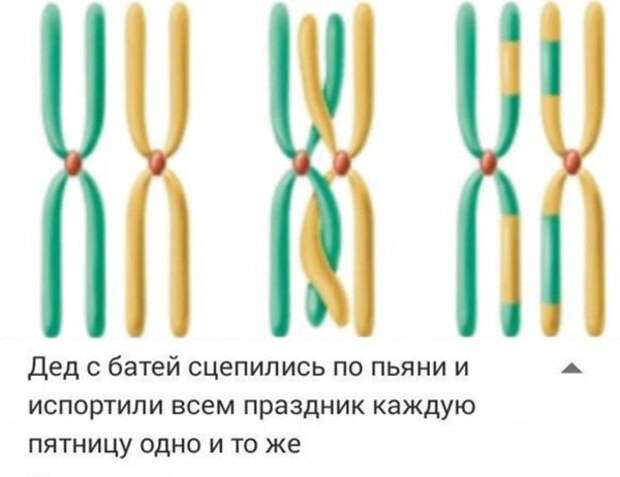 Нестандартный юмор :)