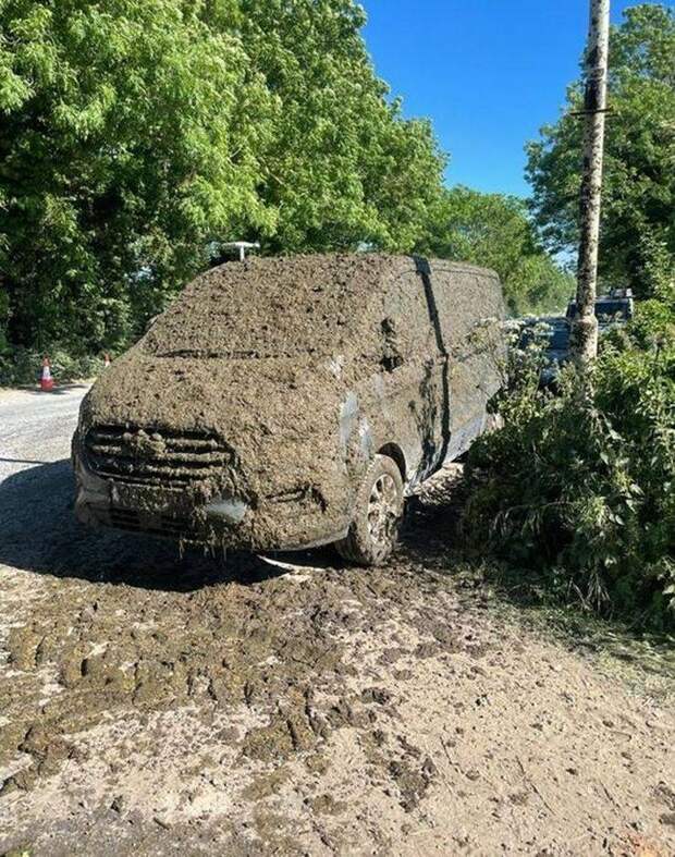 Подборка прикольных картинок