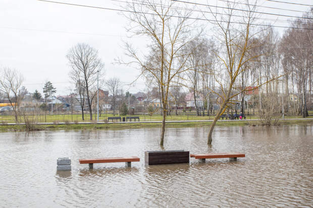 Пик паводка ожидается в Туле в последней декаде марта