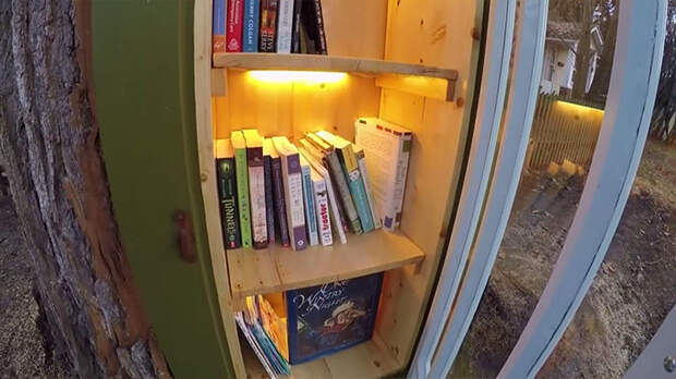 https://img.lifter.world/data/2019/jan/164/dead-tree-little-free-library-sharalee-armitage-howard-27.jpg