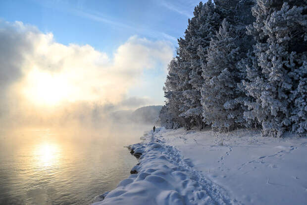 Нацпарк "Удэгейская легенда" хочет спасти леса краснокнижных животных