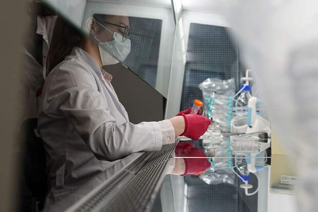 Путин: ученые активно двигаются к созданию искусственных органов человека