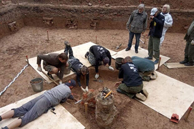 Ученые ведут раскопки в одиночной могиле, где предположительно захоронен