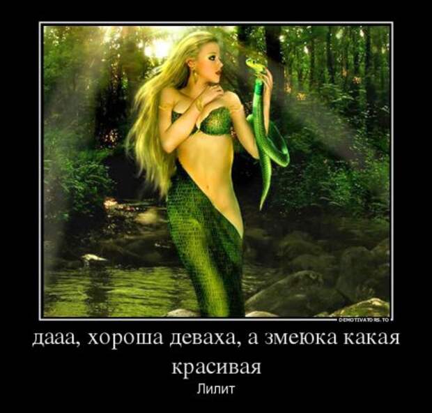 Демотиваторы они опять с нашими комментариями.
