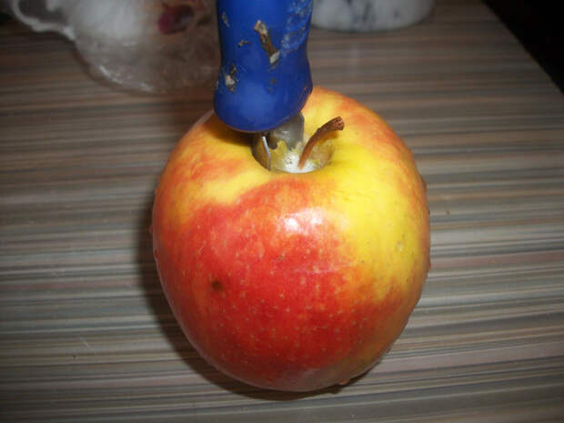 ямайская птица,яблоко,бощ 007 (700x525, 409Kb)