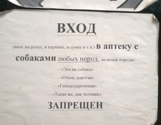 Что запрещено в России? запреты, картинки, прикол, фотографии