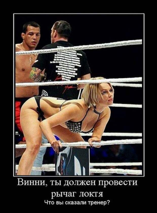 Демотиваторы (30 фото)