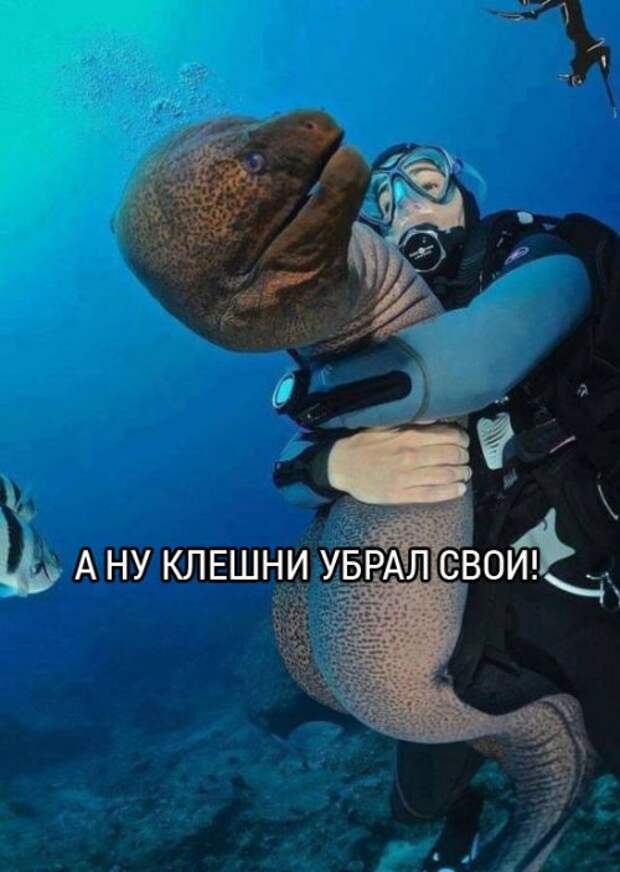 Прикольные картинки осеннего воскресенья (44 шт)