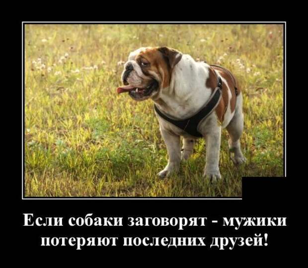 demotivatory-demotivator-smeshnye-demotivatory-demotivator-so-smyslom