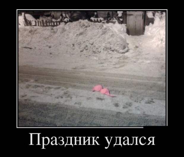 Демотиваторы (30 фото)