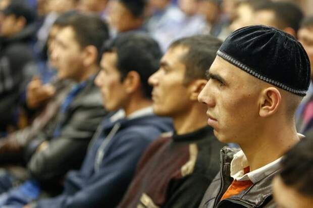 Патент для мигрантов в Петербурге и Ленобласти подорожает до 8 тысяч рублей