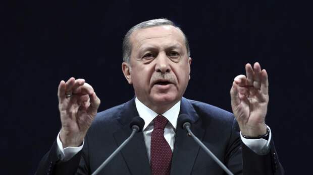 Эрдоган пообещал сирийским и иракским беженцам турецкое гражданство 