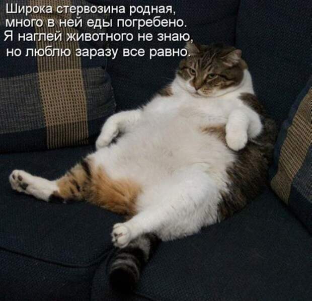 da31fa8a93e7cf099867d0bdc08_prev