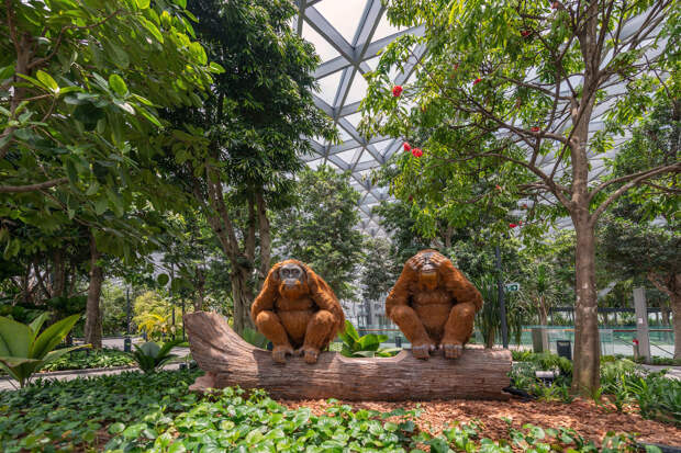 Уникальное сооружение Jewel Changi Airport в известном аэропорту