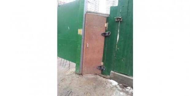 Картинки, юмор, приколы
