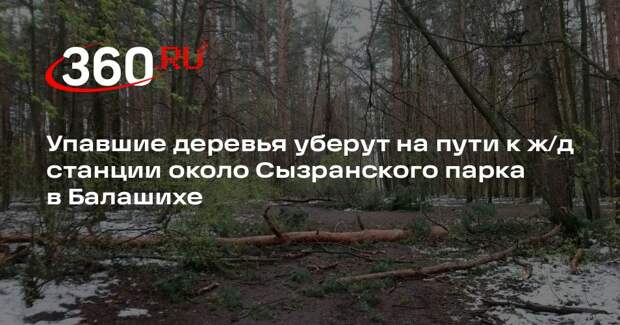 Упавшие деревья уберут на пути к ж/д станции около Сызранского парка в Балашихе