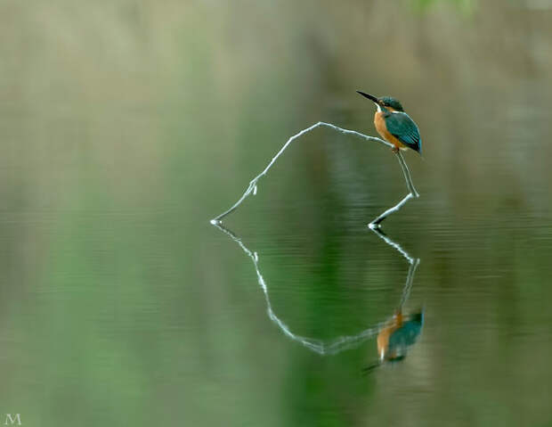 30 фотографий с удивительными отражениями