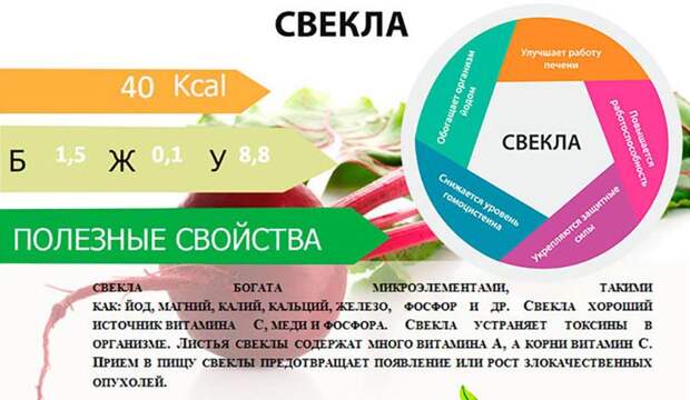 химический состав свеклы