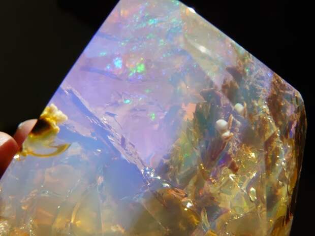 opal-2[6]