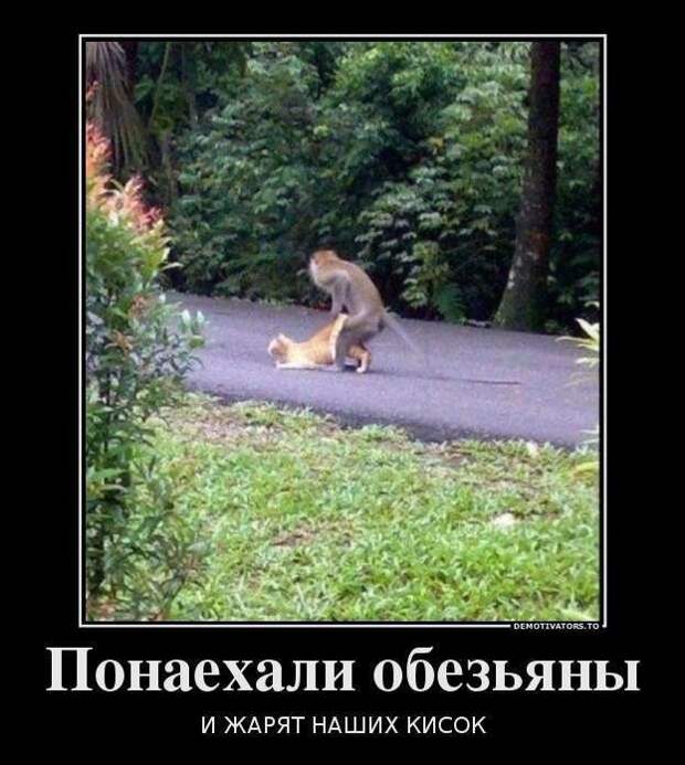 Смешные демотиваторы, для отличного настроения! Смешные демотиваторы, для отличного настроения!
